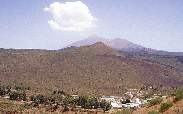 Arguayo
